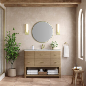 Lucian 48 inch Single Bathroom Vanity